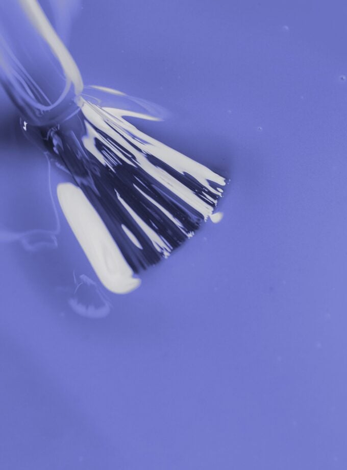 BLUEBERRY CHEESECAKE